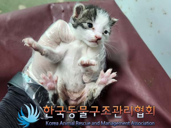 종료(자연사) 한국…